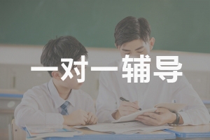 武汉一对一辅导